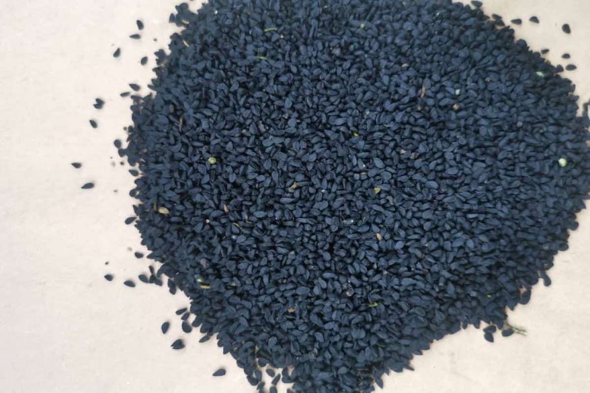 Biji Jinten Hitam from Etiopia